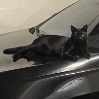 Rivas (@techrivas) 's Twitter Profile Photo