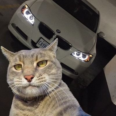 leandro_shitbox's profile picture. ig: m.leandro._
Gordo lol