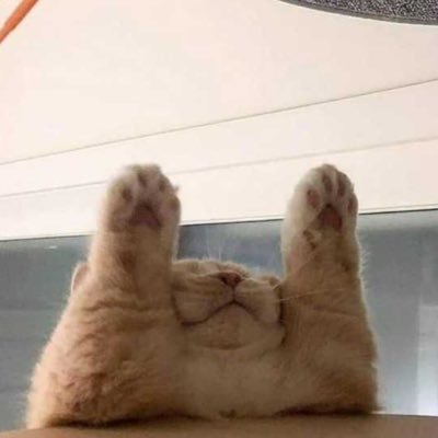 clairesjpg's profile picture. the horrors persist but so do i