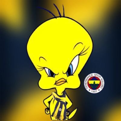 Fenerbahçe / Parody account