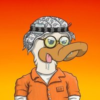 TheQuackFather(@LittleTerror678) 's Twitter Profile Photo