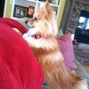 Lynn Pope - @Lynniebug22 - Twitter