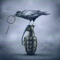 Ahmed shukr (@shukra30538) 's Twitter Profile Photo Ahmed shukr (@shukra30538) 's Twitter Profile Photo