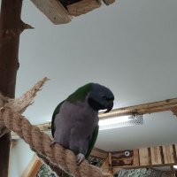 GregorS85 (Ø,G) (@gregors85) 's Twitter Profile