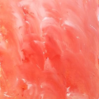 Summersさんのプロフィール画像