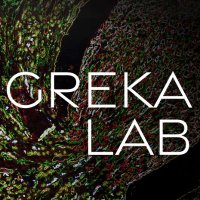 Greka Lab(@GrekaLab) 's Twitter Profile Photo