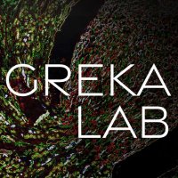 Greka Lab (@grekalab) 's Twitter Profile
