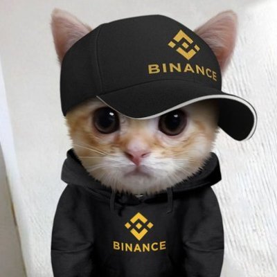 Hodling crypto - Big holder of $ELGATO the standing cat on sol AND $COINYE on base the funniest and the most nostalgic meme
