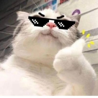 MeFormeo3's profile picture. 