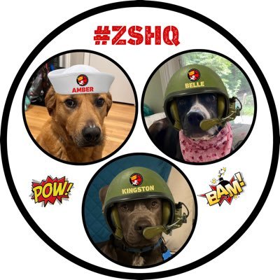 We woof walkies,🍖🧀 & our fam! We help shelter & rescue 🐕🐕🦺 find furever 🏡♥️ Ran by humom 👩🏻 Dubs #AdoptDontShop #FostersSaveLives 🚫Pawlitics #ZSHQ 🧟