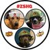 ๐ถAmber & Belle๐พ (@dubs4mutts) Twitter profile photo ๐ถAmber & Belle๐พ (@dubs4mutts) Twitter profile photo