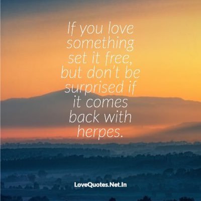 Haven6Hu's profile picture. HODL #AITECH