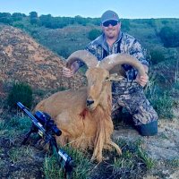Tanner (@tannerbetts) 's Twitter Profile