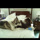 Deborah Ash - @deborahash - Twitter