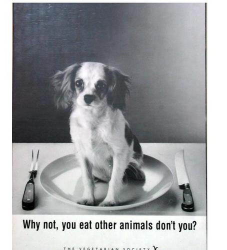 RachaelMurphy99's profile picture. Sharing wisdom and tears, only some are mine.