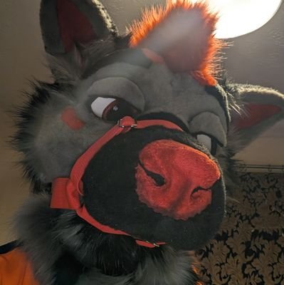 Daggers twitter account also home to Ryker and Orion Folf
