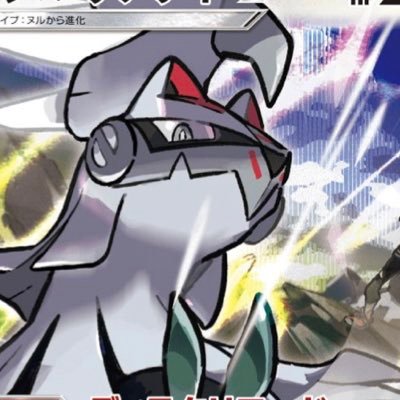 Kochaさんのプロフィール画像