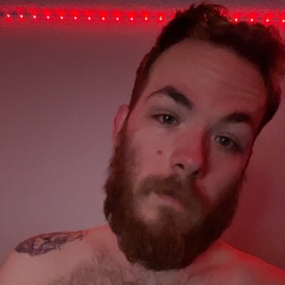 DerpydogStringz's profile picture. 