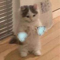 Penbawx (@penboxctcc) 's Twitter Profile Photo Penbawx (@penboxctcc) 's Twitter Profile Photo