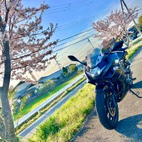 ヨハンナ GSX-250R(@gsx250rb58) 's Twitter Profile Photo