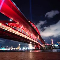てぃー (@texi_bow) 's Twitter Profile