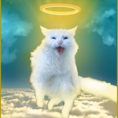 🐾The official fan club of the late Saint Sugar the Crazy Conspiratorial Cat🐾

Self proclaimed:

QatAnon X-pert 🛰️
MAGA Meower 🇺🇸
Purr-sistent Hiss-torian📜