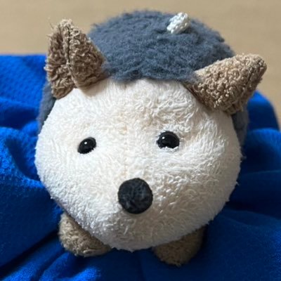 28歳で妻と2人暮らし。子供たちに未来のある政治を!🍊参政党を応援している一般党員です。ただし政策については党や派閥関係なく評価したいと🙇♂️。#スパイ防止法 #反グローバリズム
