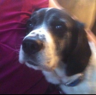 kingsandra95's profile picture. 