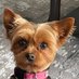 Lille (@lille1947) Twitter profile photo Lille (@lille1947) Twitter profile photo