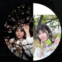 イオス(@KJ_OITA) 's Twitter Profile Photo