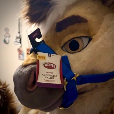 🐴Fjord Horse🐴 | 🔧VW/Lexus Driver | Mac/PC | He/Him | VR | Videographer | Multi-Fursuiter | 18+ NSFW🔞 | Pansexual | 🐎