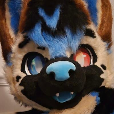 Sheppy! 🐶 | 22 | rhythm game and MMO enthusiast 🎮 | very amateur guitarist 🎸 | Gentlefur suiter | 🇳🇱🇺🇲 | SFW