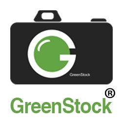 Download royalty-free stock photos, vectors and videos