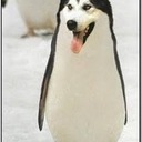 Phil Rowe - @philipjamesrowe - Twitter