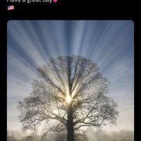 El Elyon,(God Most High )✝️ (@josephfannelli) 's Twitter Profile