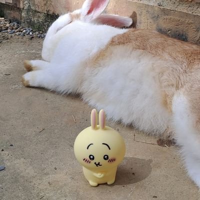 ナメクジさんのプロフィール画像