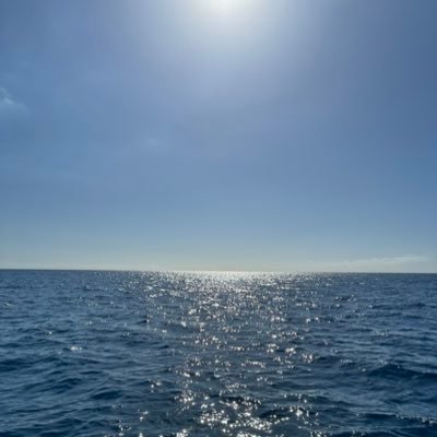 ASYM_invest's profile picture. Investor in disruptive technologies