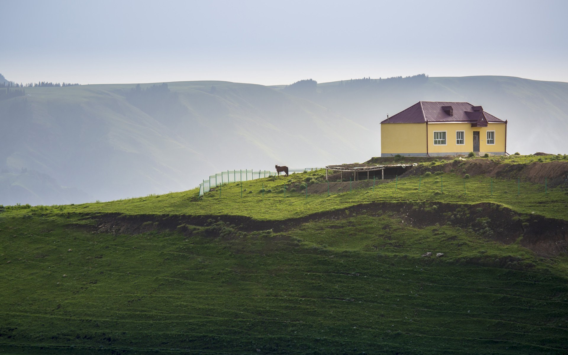 Ff7n25A76245f1Y's profile picture. 