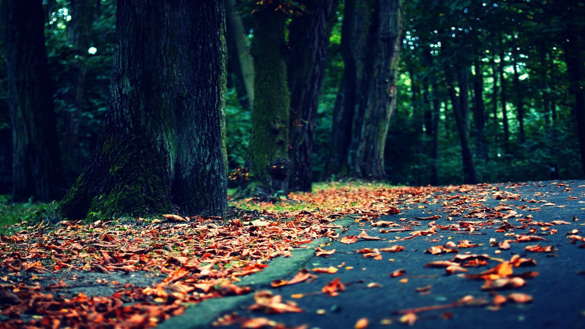 MueZ6Cfsudvo0wh's profile picture. 