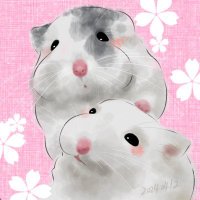 ロボchan🐹(@robochan_) 's Twitter Profile Photo