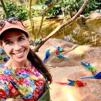 Lisa Rothmann (@landboulisa) 's Twitter Profile