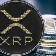 JIMMYTRAN197554's profile picture. 