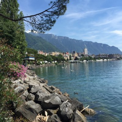 ZivdarMostafa's profile picture. import PVC additive,plastics raw materials,