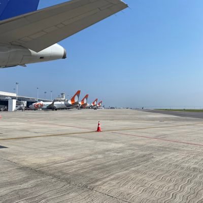 DaniloR77537840's profile picture. 