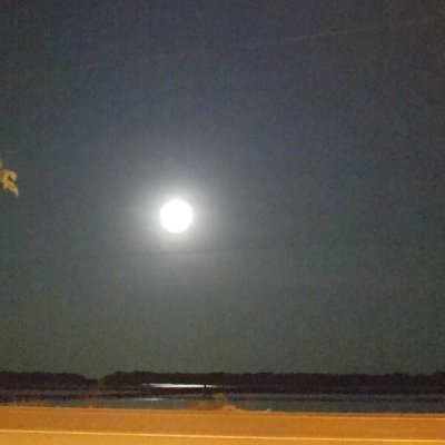 Nfg6RgyqC5ENxbj's profile picture. 