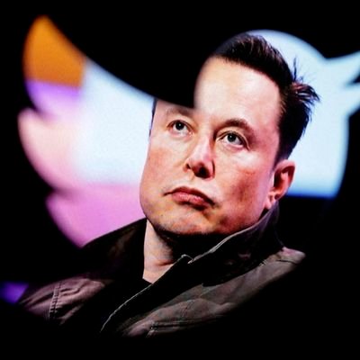 To his followers Elon Musk was a god