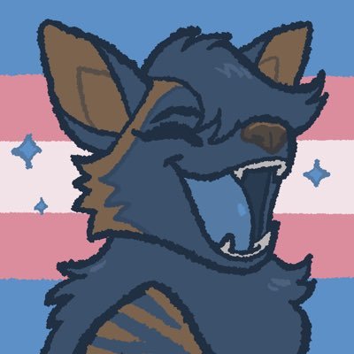 CometYeen Profile Picture