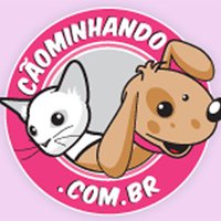 CãoMinhandO (@caominhando) 's Twitter Profile