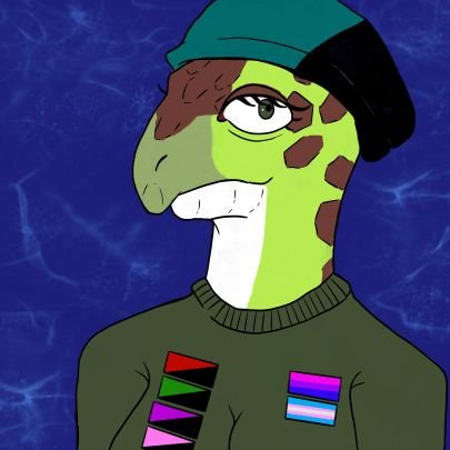 Anti-Fascist Turtle Profile