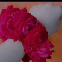 لاپرواہ لڑکی ✨ (@45znab) 's Twitter Profile